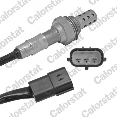 Oxygen Sensor